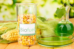 Common biofuel availability