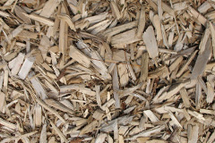 biomass boilers Common