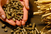 free Common biomass boiler quotes